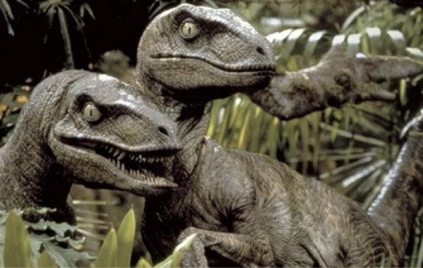 Jurassic Park (1993) - Original Raptor Claw - Image 5